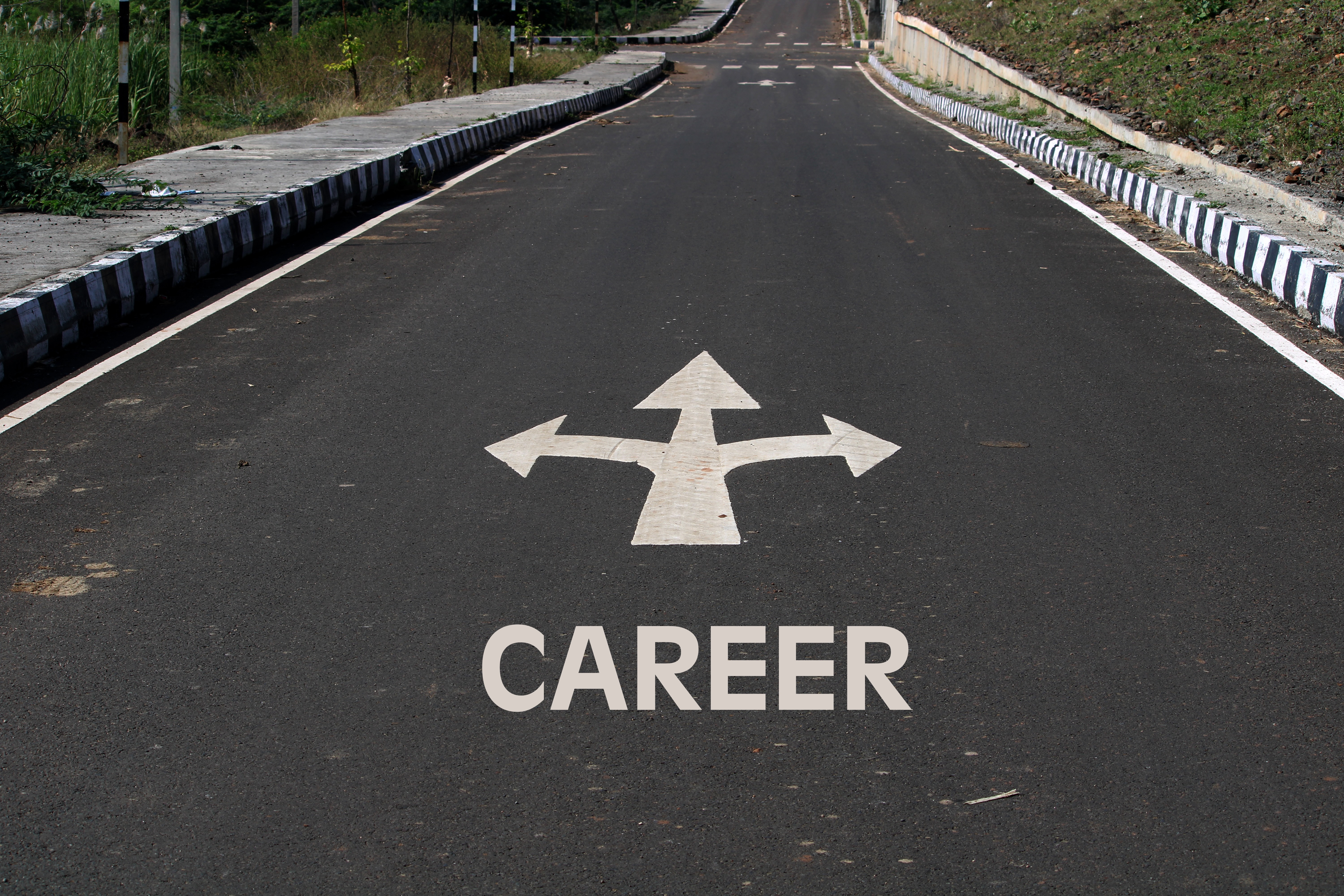 Navigating Career Crossroads: The Role of Career Coaching in Personal Growth